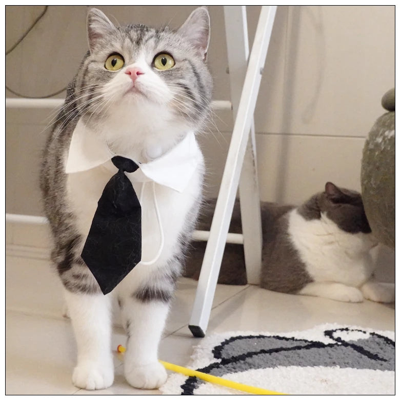 Funny Pet Cat Hat and tie Gentleman's Hat Beret Tie Bathing Blood Gangster Handsome Cosplay Photo Prop Pet Halloween Costume