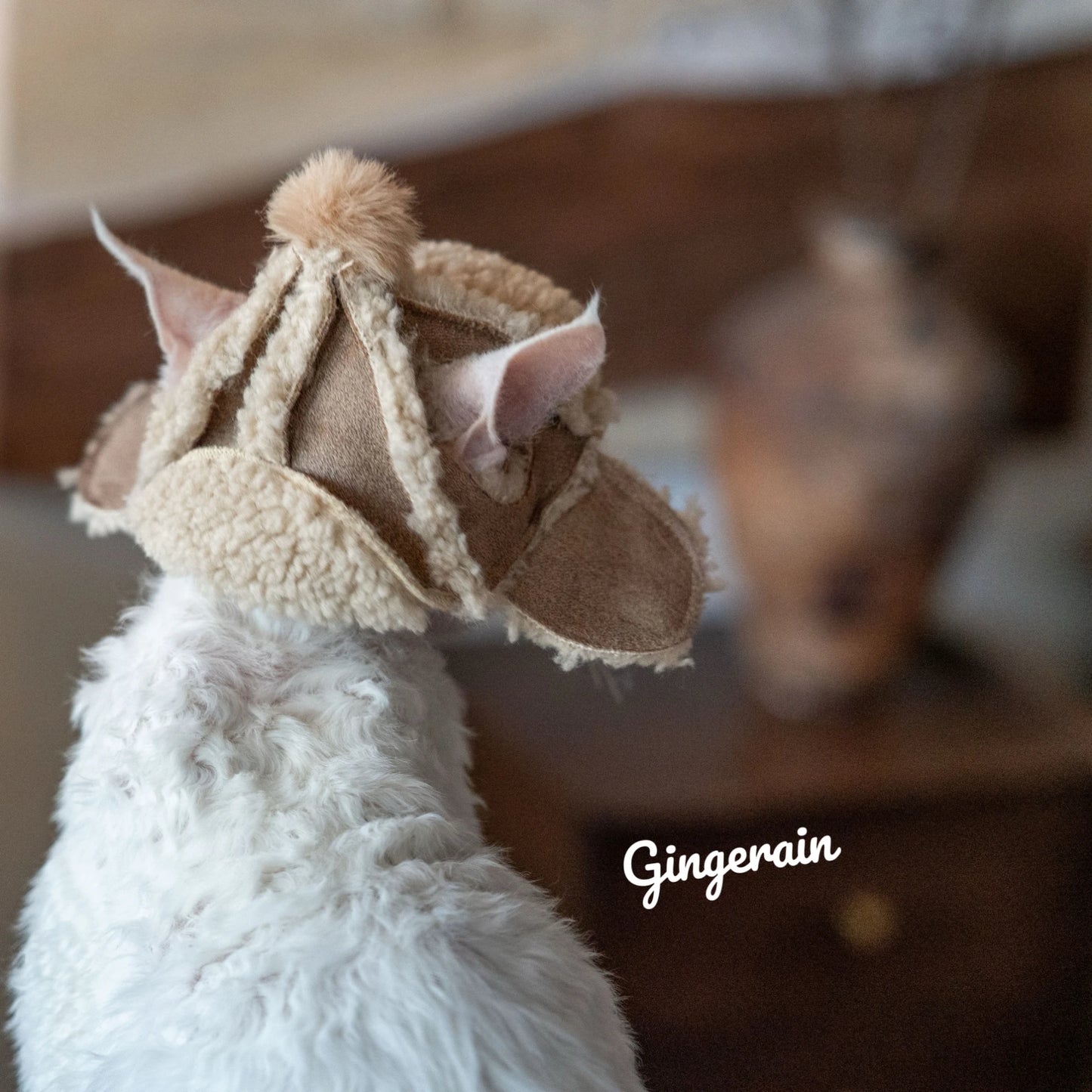 Devon Rex Cat Kittens Hats Sphynx Sheepskin Helmet Camo Fleece Hat Winter Warm Adjustable Hats With Hole