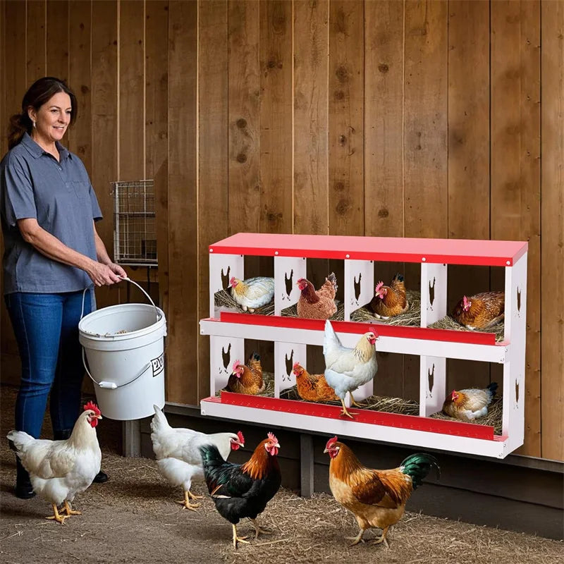 Nesting Boxes for Chickens, Compartment Chicken Nesting Box, Metal Chicken Laying Boxes with Perch, Secure Lid, Versatile Wall