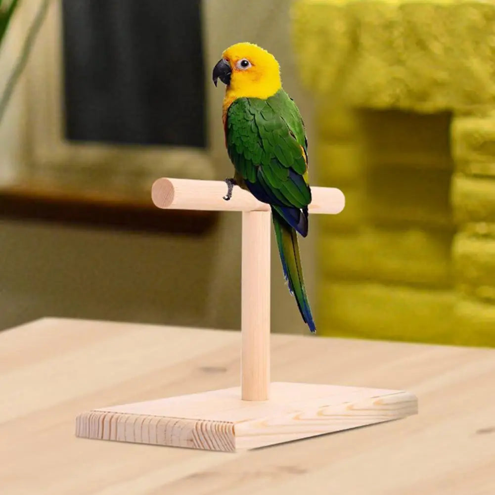 Practical Bird Training Perch Compact Safe Lightweight Bird Training Exercise Stand  Bird Stand Stable