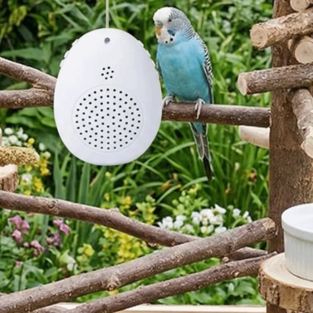 Recording Bird Learning Machine Interactive Timer-Controlled Speech Training Machine Playback Multi Segment Audio Source
