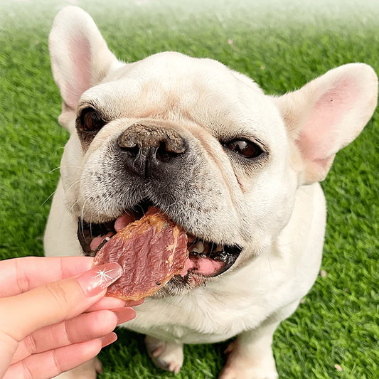 7.05oz/14.11oz(200g/400g) Chicken Gizzard, All Natural Ingredients, Natural Dog Treats, Healthy, Easily Digestible