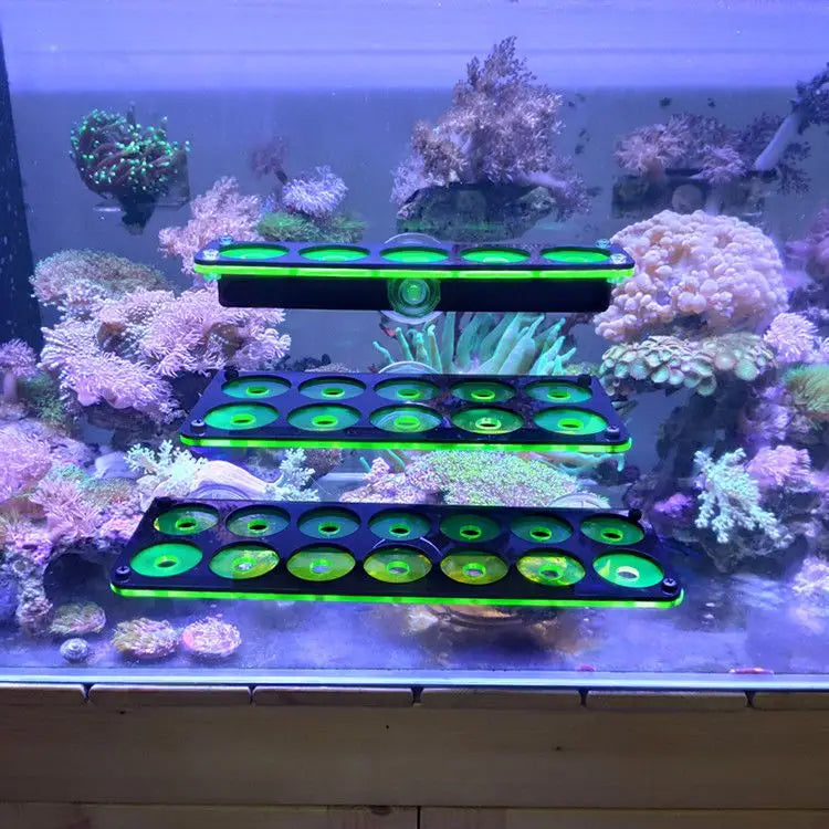 Fluorescent Coral Frag Plug Bracket Growing Holder Acrylic Rack Marine Reef Stand Aquarium Accessories Fish Tank Decoration