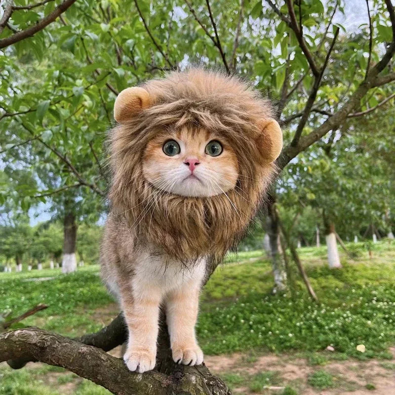 New Cute Funny Lion Mane Wig Hat for Pets Cat Dog Cosplay Costume with Ears Fancy Party Supplies