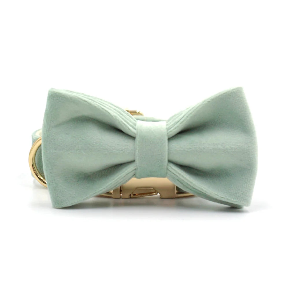 Green Tea Velvet Free Custom Dog Harness Soft Luxury Designer Dog Collar for Small Dogs Personalized Bowtie Collar Lead Poop Bag