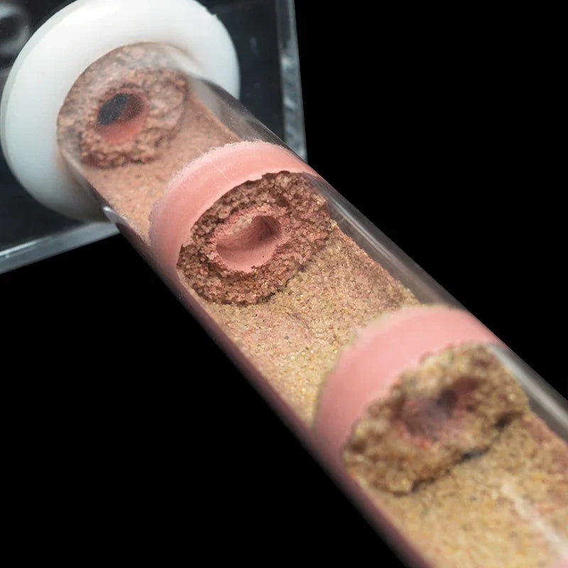 DIY Various Size Ant Farm Bamboo Tube Nest with Feeding Area Pet Anthill Workshop Queen Ant Breeding Nest Ant House Nest Bracket