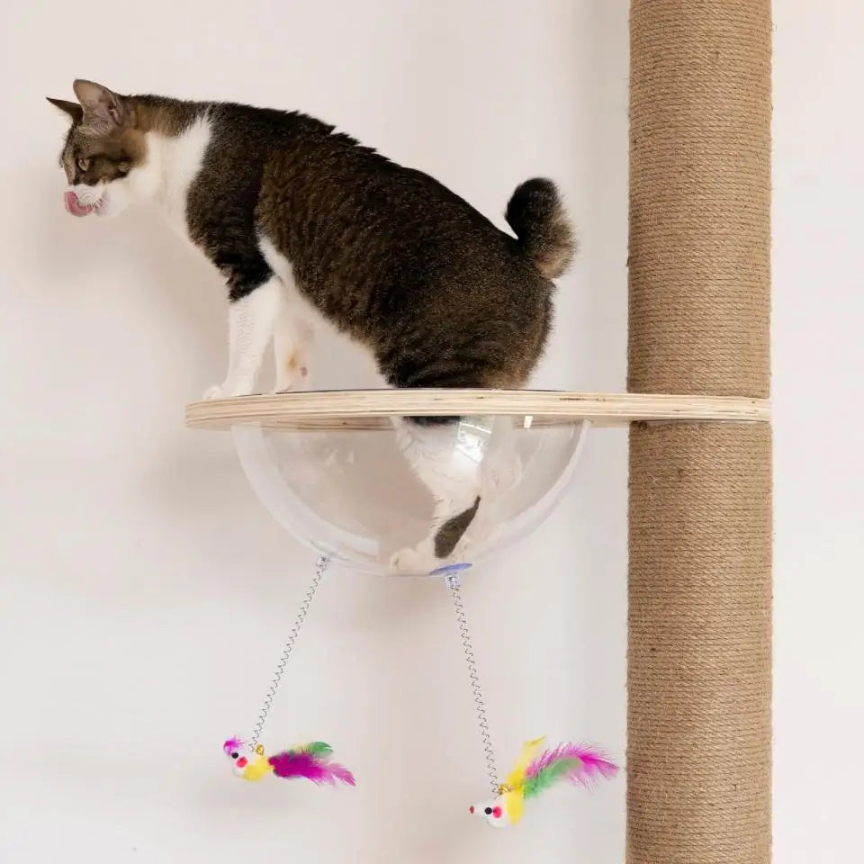 M8 Cat Tree Tower Scratching Post Replacement Set Refill Pole Parts for Kittens Tower Scratch Pole Accessories for Scratching