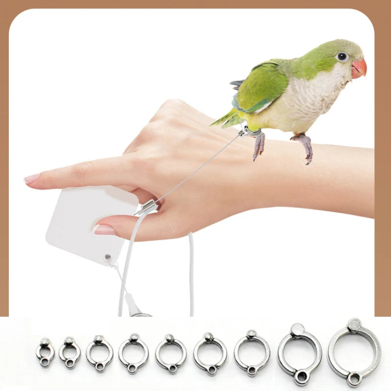 Cockatiel Harness And Leashes 2M Conures Bird Leashes For Parakeet Traction Rope Adjustable Outdoor Cockatiel Leashes For Birds