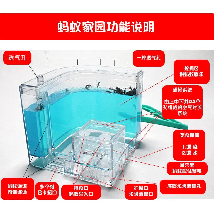1PCS 3D Insect Acrylic For Ant Farm Observed Expansion Maze House Educational Decor Accessories Look into World Bug Box