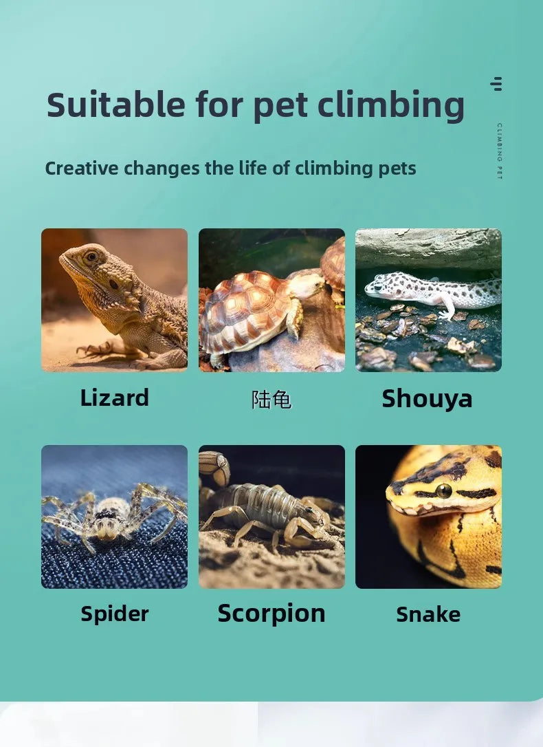 YEE Reptile Calcium Sand Substrate Kit-Premium Desert Terrarium Bedding for Bearded Dragons, Leopard Geckos, Scorpions, Snakes, Spiders & Tortoises