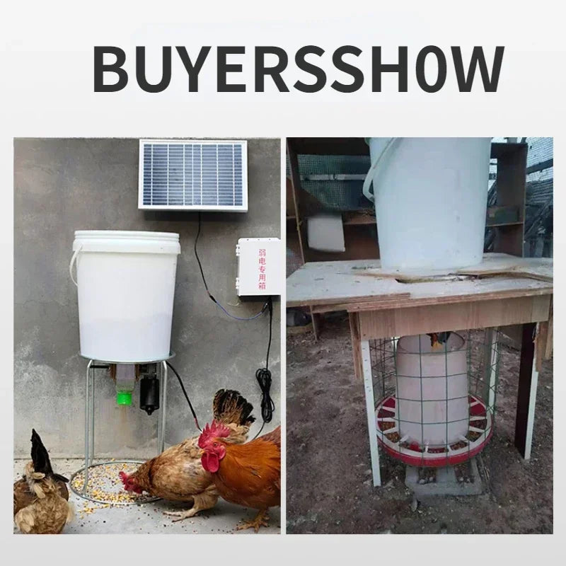 Automatic Chicken Feeder Pigeon Chicken Duck Carrier Pigeon Trough Intelligent Timing Automatic Chicken Feeder Pigeon Supplies