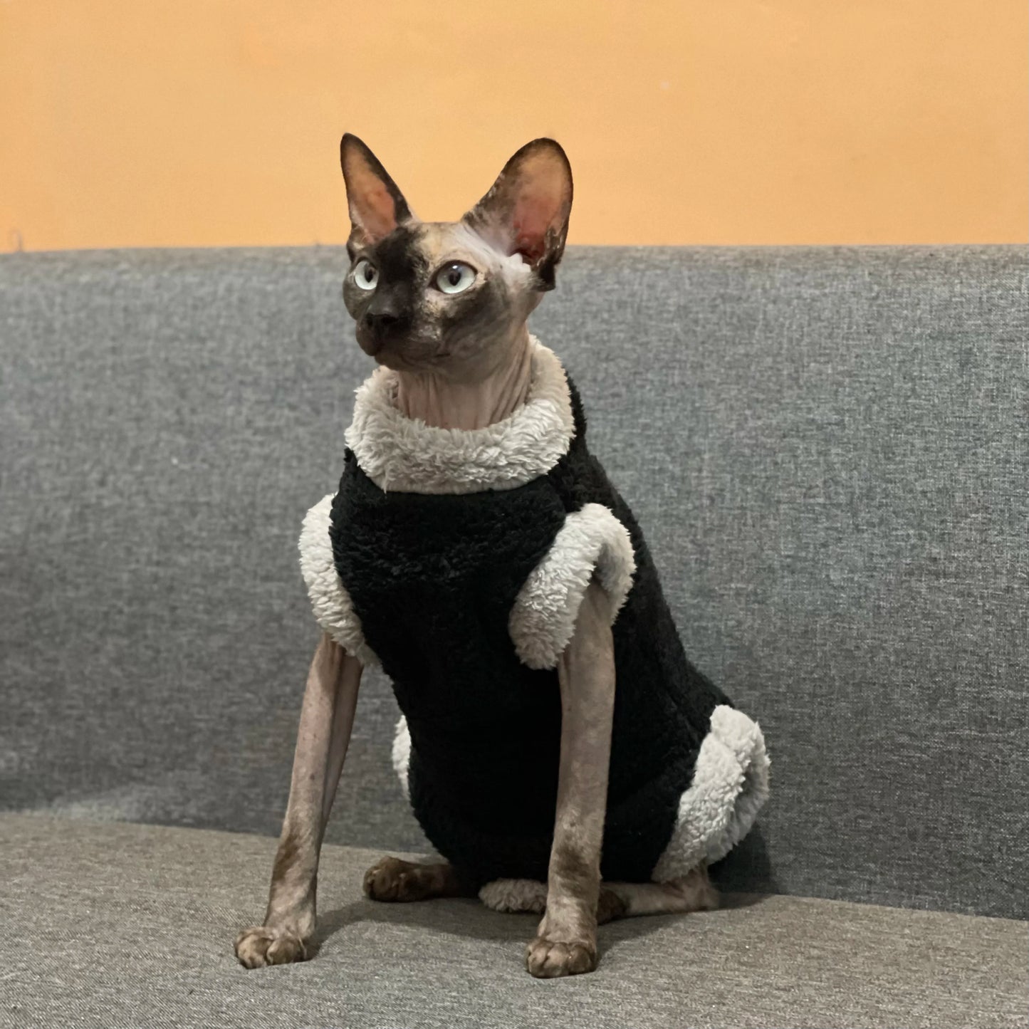 Lamb Wool Coat for Cats Sphynx Cat Clothing Winter Soft Grey T-Shirt for female Kittens Devon Rex Short or Long Sleeves Loungewear