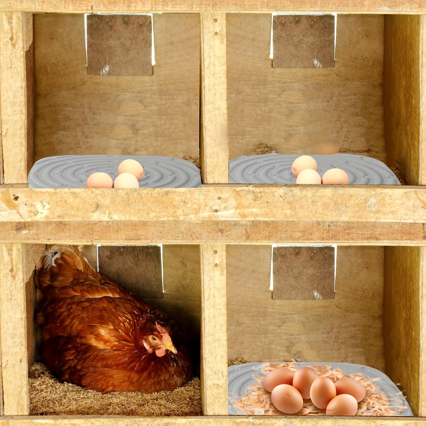 Soft & Durable 2pcs Washable Chicken Nesting Pads - Reusable Coop Liners for Portable Chicken Boxes