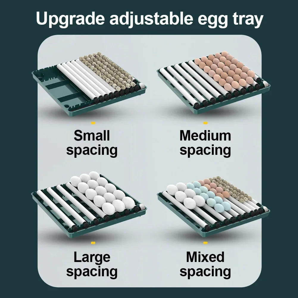 6-12 Eggs Incubator for Chicken Goose Bird Quail Automatic Incubation Equipment Hatchery Incubation Tool US Plug Dual Electric design