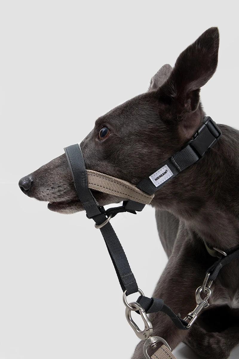 Dog Mouth Anti Barking Bark Collar Dog Adjustable Training Mesh Fabric Explosion-proof Flushing Control Traction Pet Supplies