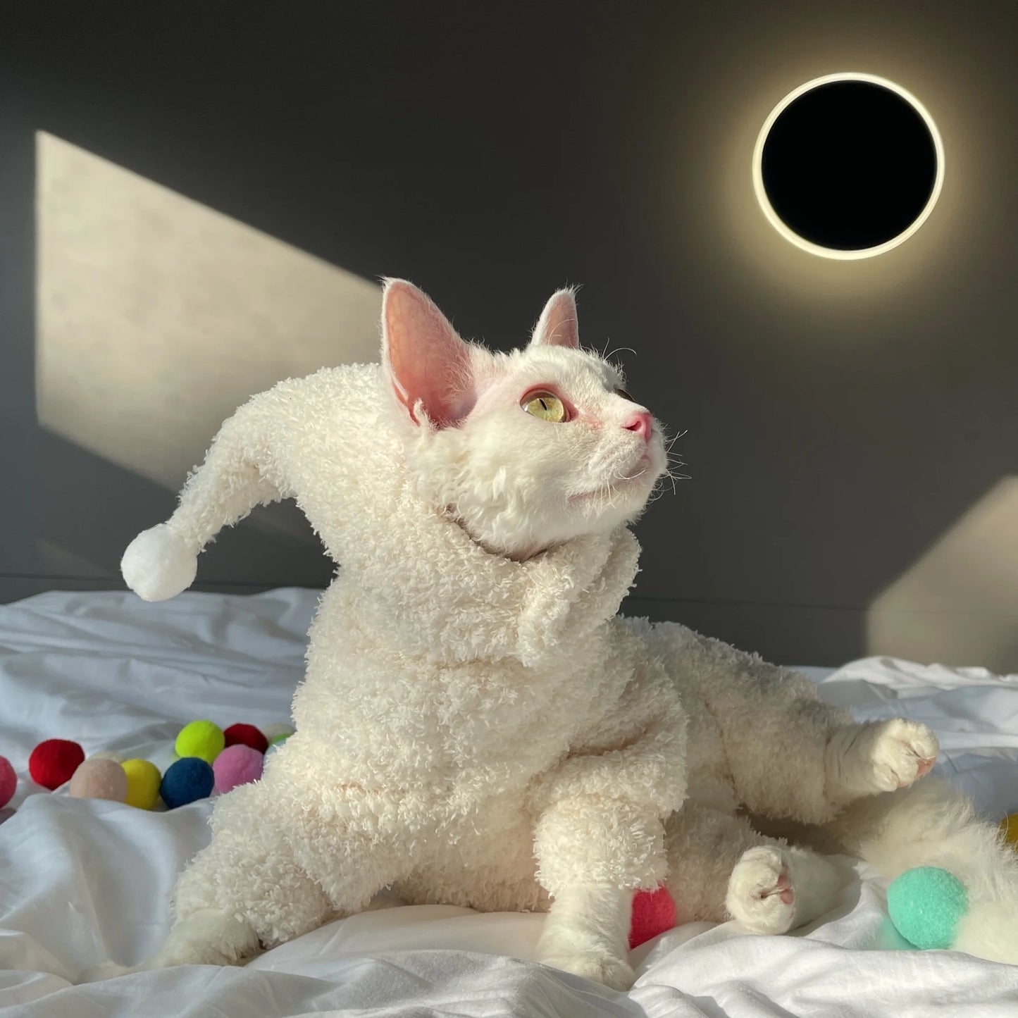 Winter Warm Plush 4-legged Sweatshirt Hat Suit for Devon Rex in Winter Soft Yellow Red Sweater for Sphynx Cat Kittens Khaki Coat