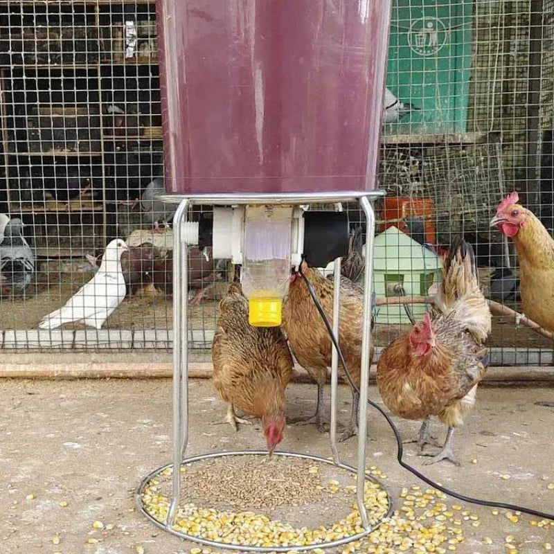 WIFI Poultry automatic timing feeder Chicken, Duck, Goose, Pigeon trough fish pond feeder