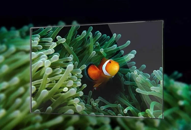 Ultra Clear Glass Mini Salt Water Marine Aquarium Fish Tank