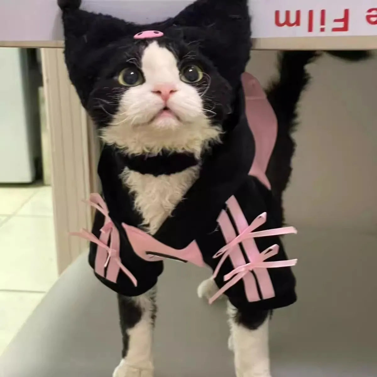 Black And Pink Striped Bowknots, Pink Skull Pet Hoodie, Cat, Dog, Maltese, Yorkshire, Chihuahua Sweet and Cool Pet Clothes