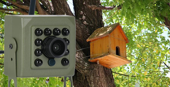 6MP 4MP POE 2K Tuya Mini Wireless WiFi IP Camera Bird Cage CIRCUT Night Vision Small Size Bird Nest Home Security CCTV Smart Life