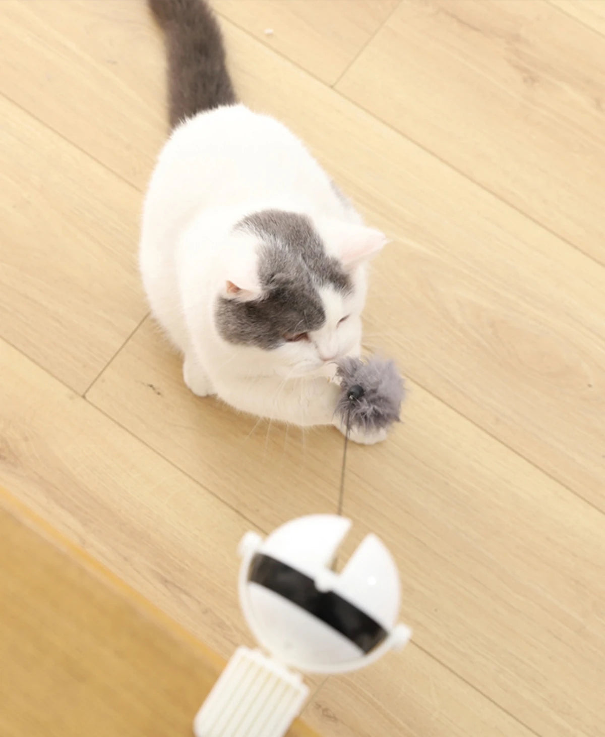 1Pc Fun Lifting Ball Electric Motion Cat Toy With Automatic Retractable Cat Teasing Ball Rotating Interactive Puzzle Pet Toys Cat Toys