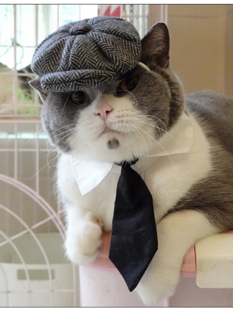 Funny Pet Cat Hat and tie Gentleman's Hat Beret Tie Bathing Blood Gangster Handsome Cosplay Photo Prop Pet Halloween Costume
