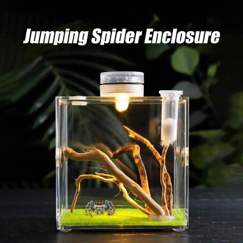 Spider Reptile Insect Feeding Box Reptile Breeding Box Terrarium Accessories Insect Box For Spider Cricket Snail Tarantula
