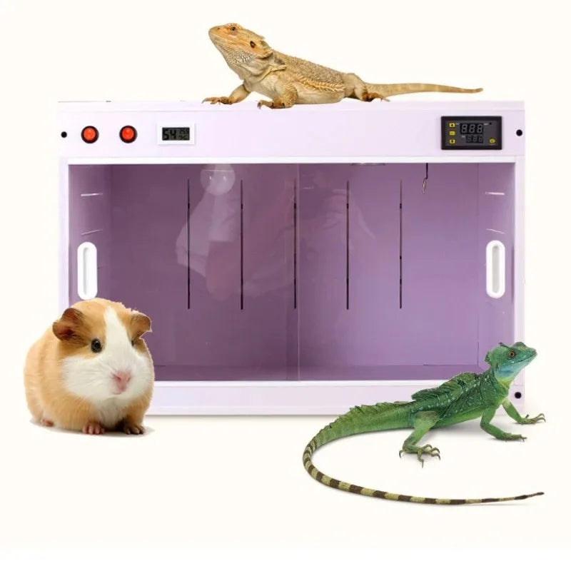 Parrot Thermostatic Feeding Box Reptile Temperature Control Waterproof Terrarium Birds Smart Box Reptiles  Guinea Pigs Pet Habitat House