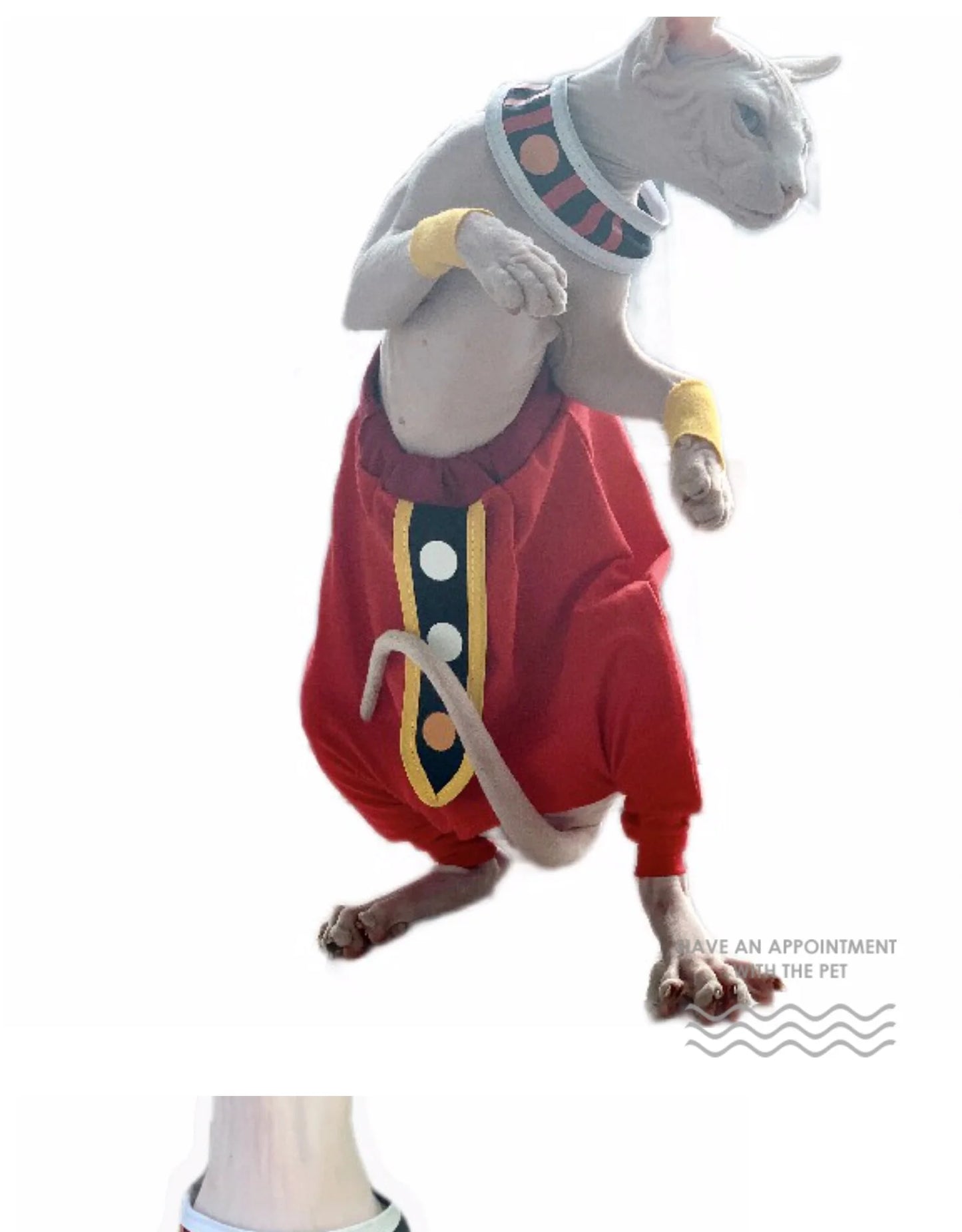 Handmade Sphinx Cosplay Cat Costumes Hairless Cat Clothes Cats Costumes Crotch-Proof Trousers Cat Clothes