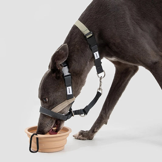 Dog Mouth Anti Barking Bark Collar Dog Adjustable Training Mesh Fabric Explosion-proof Flushing Control Traction Pet Supplies