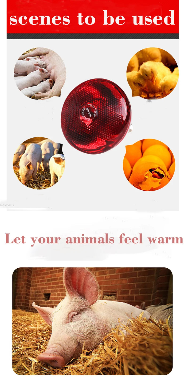 Durable Poultry Heating Lamp Breeding Bulb High Quality E27 100/150/250/275W LED Light Pet Brooder Hatch Chick Heater Bulb