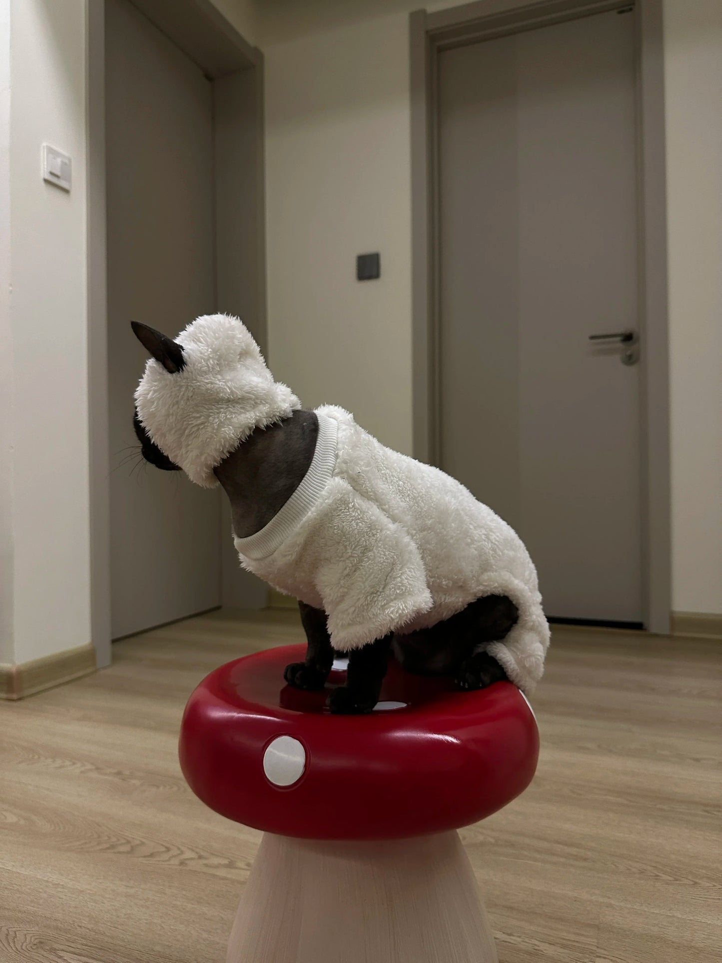 Hairless Cat Clothes Autumn and Winter Thickened polar fleece Warm Four-Legged Sphinx Devon Rex Cat lamb double-sided fleece cotton