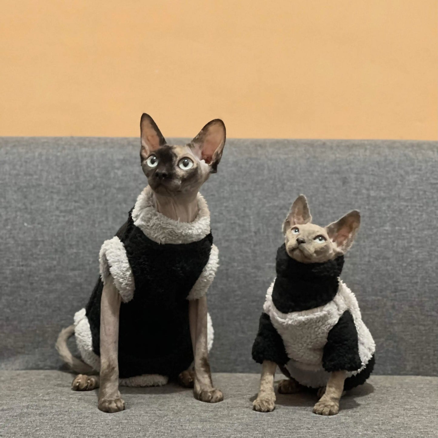 Lamb Wool Coat for Cats Sphynx Cat Clothing Winter Soft Grey T-Shirt for female Kittens Devon Rex Short or Long Sleeves Loungewear