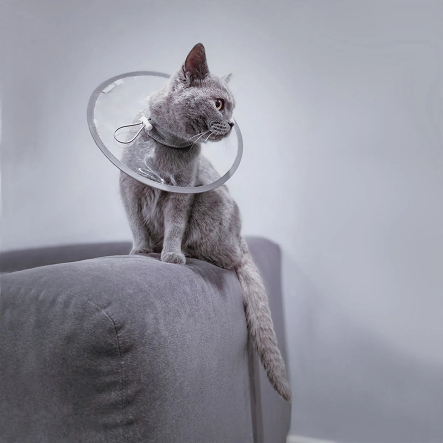 Soft Cat Recovery Collar Protective Adjustable Pet Cone Collar For After Surgery Comfortable Lightweight Elizabethan Collar