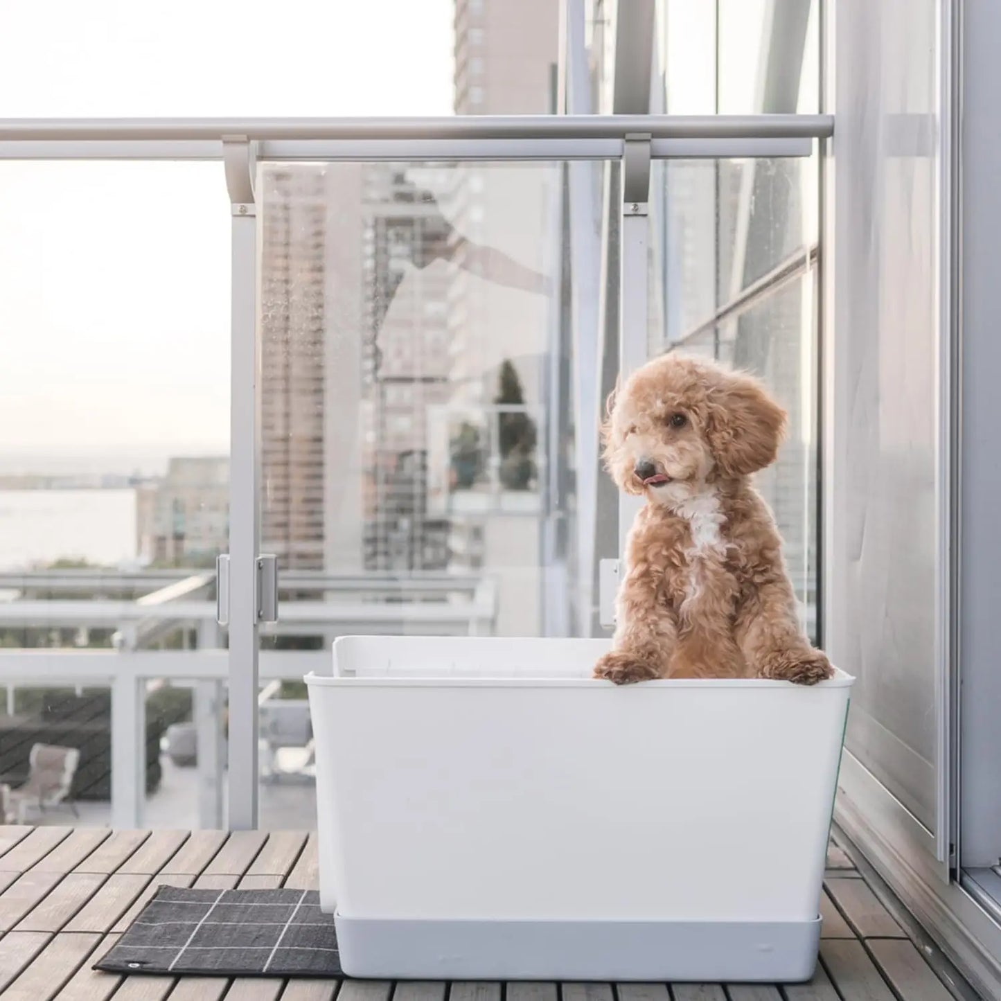 Indoor Dog Toilet Solution - No Mess and Splash Guard - Potty Training Pad Holder