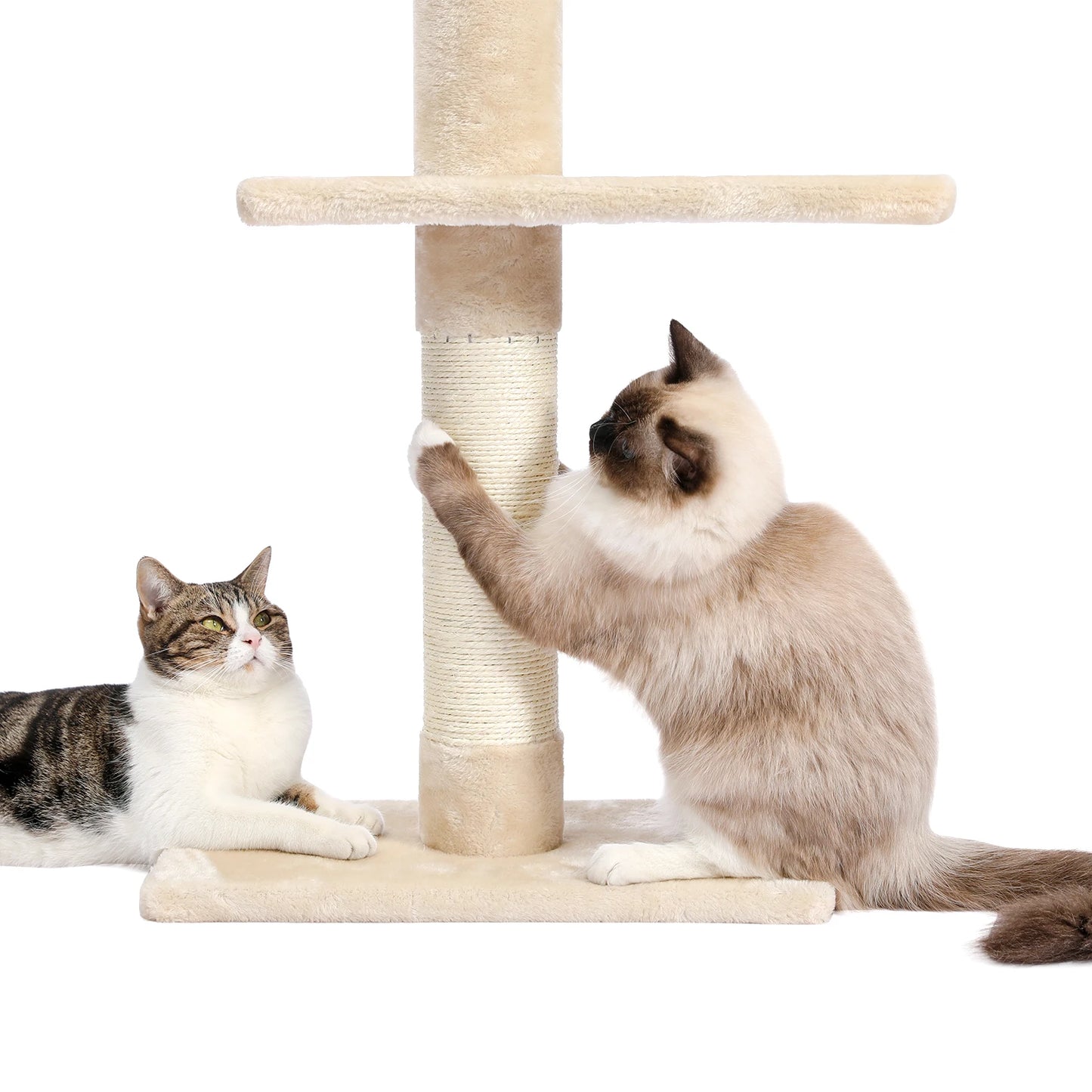 Adjustable Floor-to-Ceiling Vertical Cat Tree Tower Stable Tall Cat Climbing Tree Cat Kittens Cat Toy Suitable for Indoor Cats