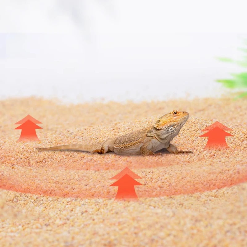 YEE Reptile Calcium Sand Substrate Kit-Premium Desert Terrarium Bedding for Bearded Dragons, Leopard Geckos, Scorpions, Snakes, Spiders & Tortoises