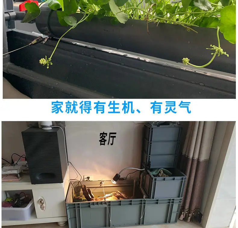 Aquatic and amphibious ecological tank, swamp fish tank, pot, turtle box, turtle tank, household feeding box