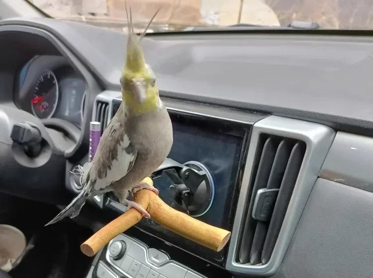 1pc-natural wood bird perch rod, parrot claw grinder rod, bird cage accessories, bird cage claw grinder bracket rod