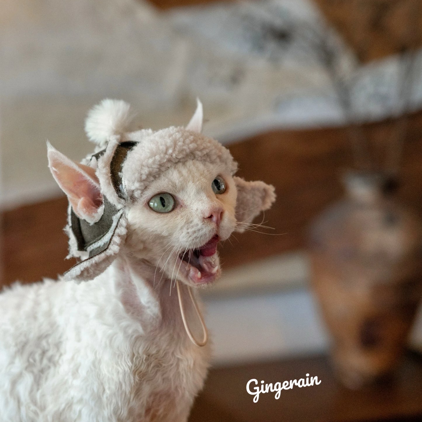 Devon Rex Cat Kittens Hats Sphynx Sheepskin Helmet Camo Fleece Hat Winter Warm Adjustable Hats With Hole