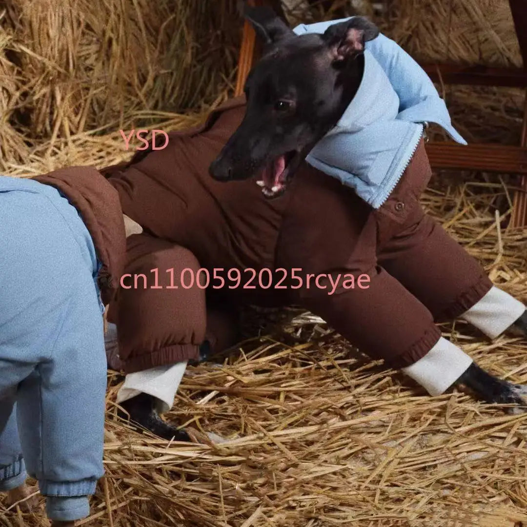 Autumn Winter Medium Dog Turtleneck Coat - Windproof Warm Eco-Cotton Padded Clothes