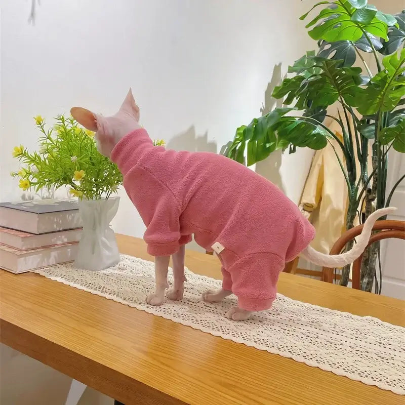 Sphynx cat wearing a pink fleece coat, showcasing warmth and comfort for autumn/winter in a stylish home setting.