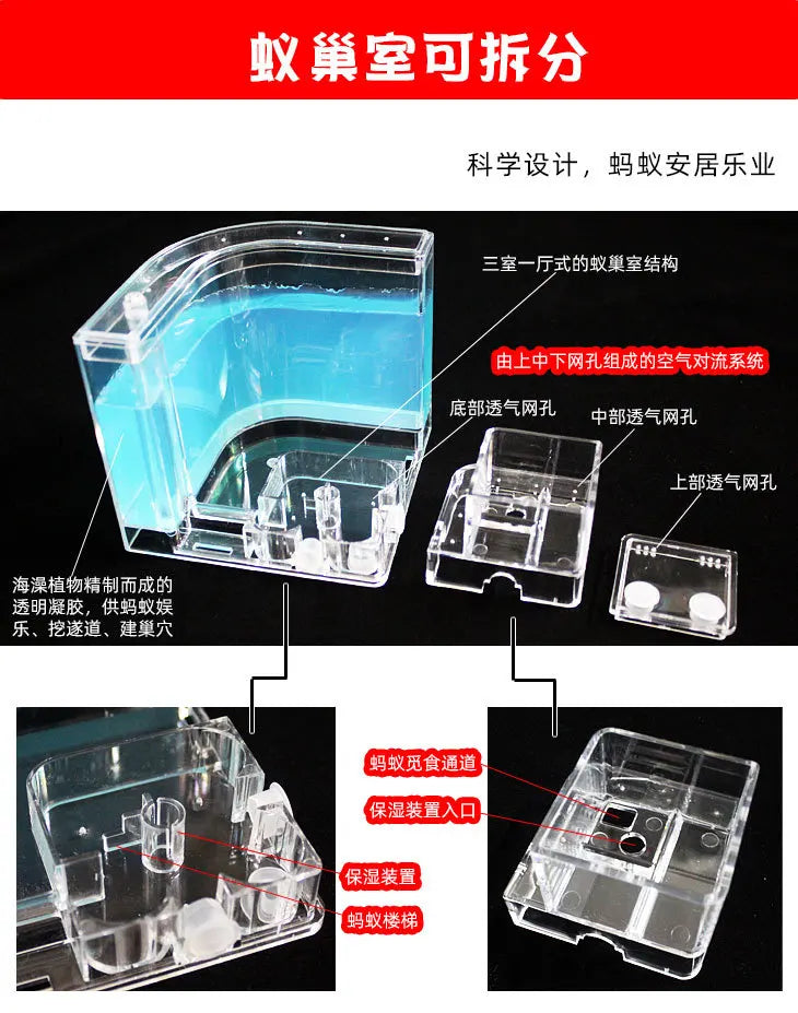 1PCS 3D Insect Acrylic For Ant Farm Observed Expansion Maze House Educational Decor Accessories Look into World Bug Box