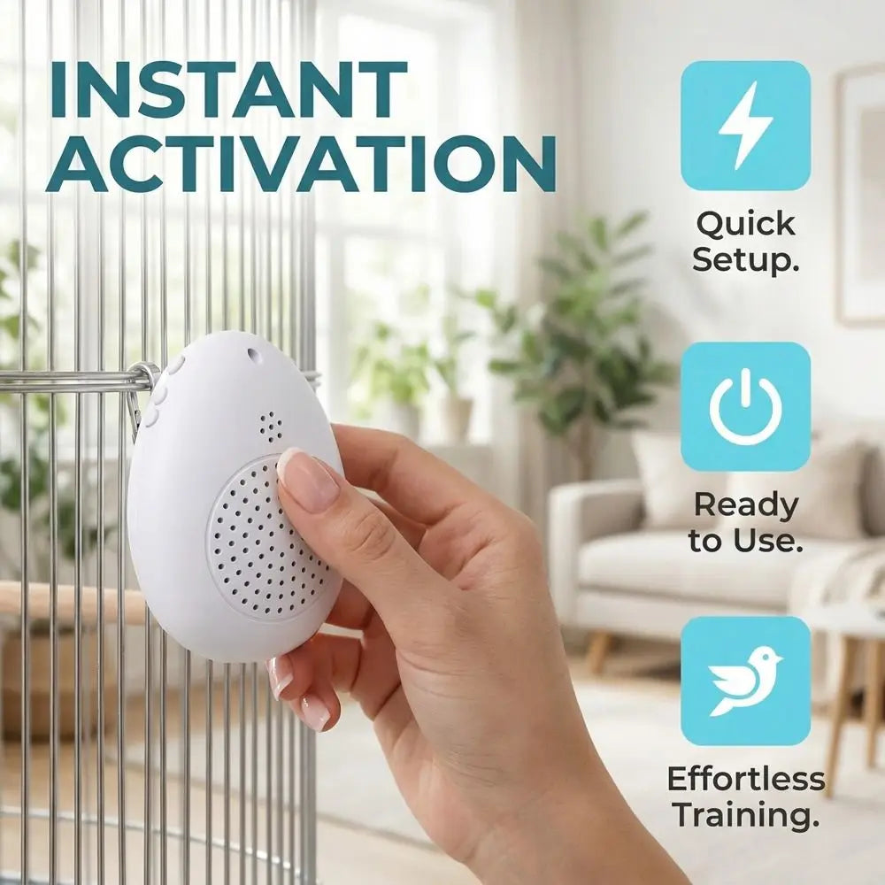 Recording Bird Learning Machine Interactive Timer-Controlled Speech Training Machine Playback Multi Segment Audio Source