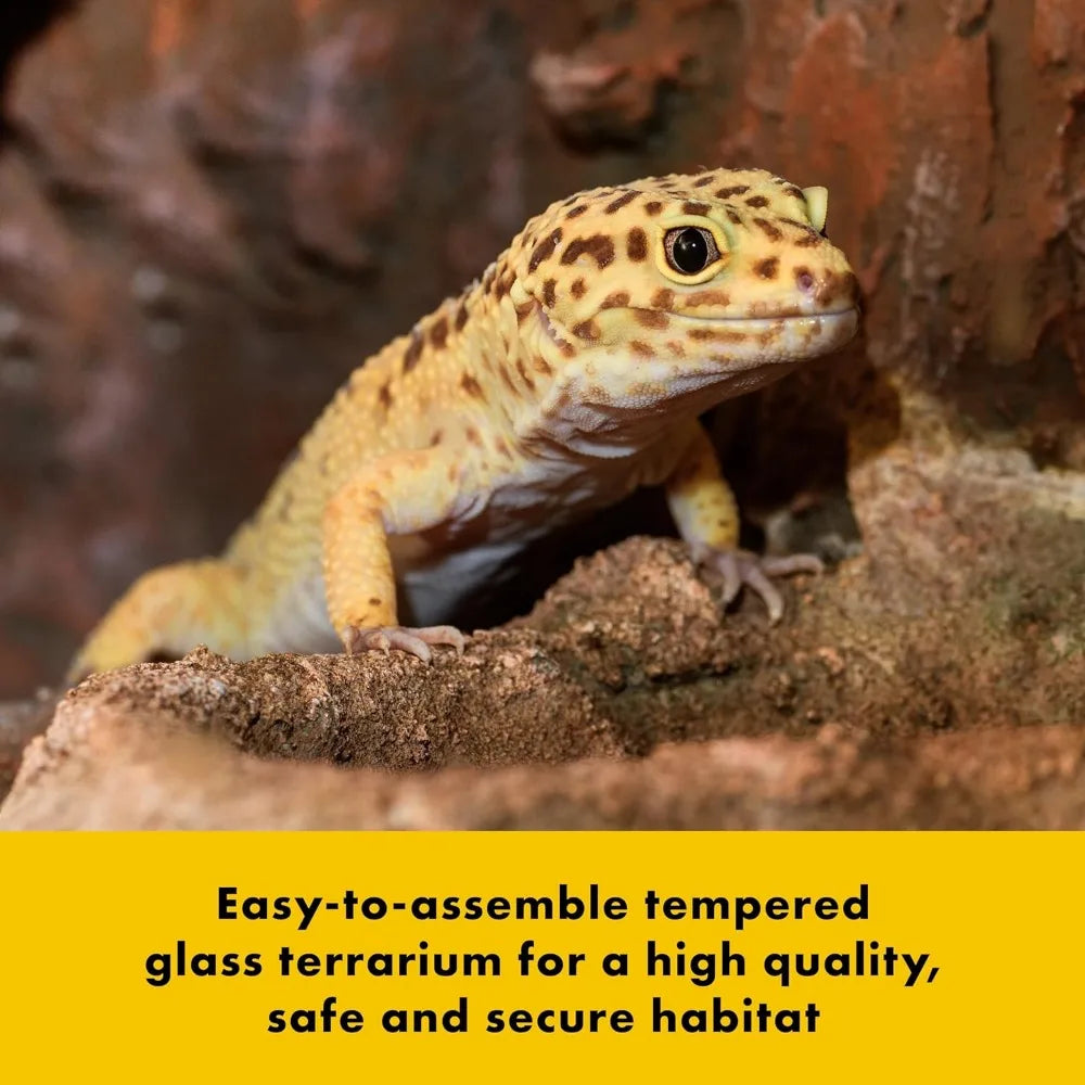 QuickBuild Terrarium Sleek Glass Reptile Habitat Easy Setup Suitable for all Types of Reptile Pets Whether Amphibians Reptilians