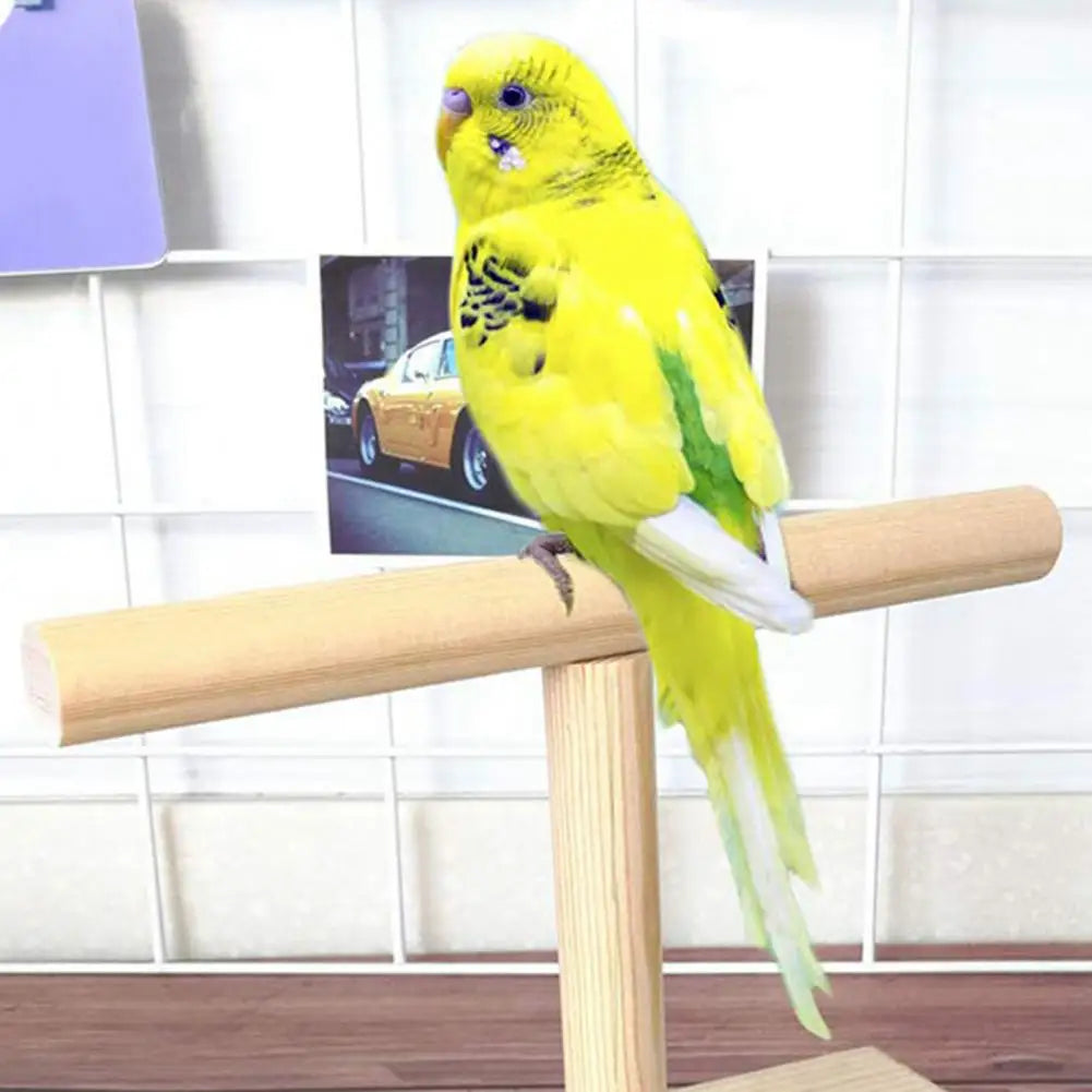 Practical Bird Training Perch Compact Safe Lightweight Bird Training Exercise Stand  Bird Stand Stable