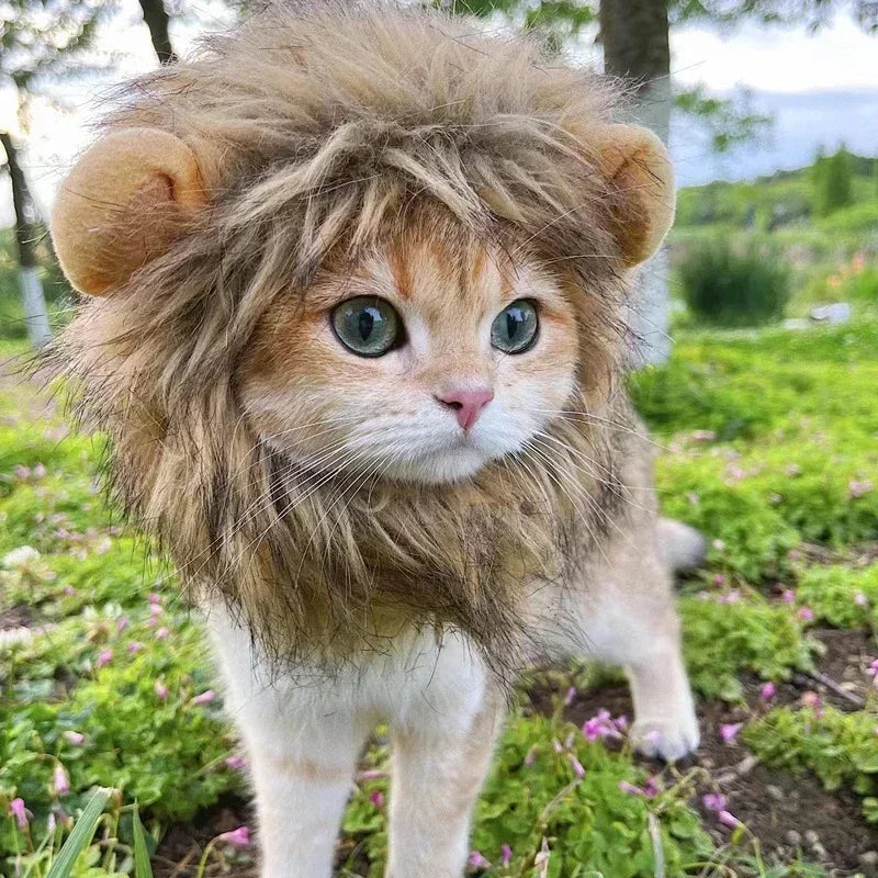 Cat Cosplay Dress Up Pet Hat Lion Mane for Cat Puppy Lion Wig Costume Party Decoration Halloween Christmas Cat Pet Supplies