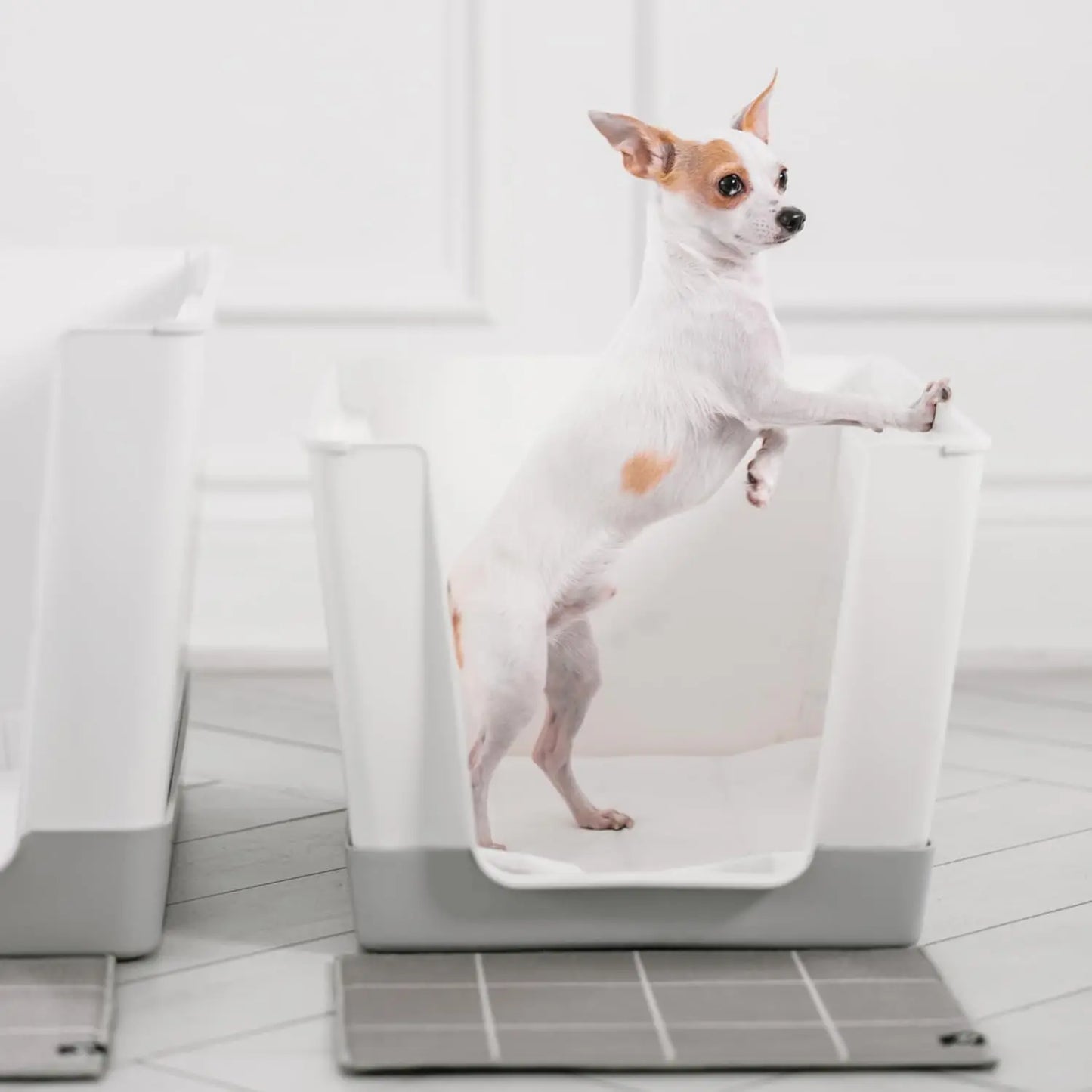 Indoor Dog Toilet Solution - No Mess and Splash Guard - Potty Training Pad Holder