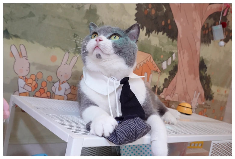 Funny Pet Cat Hat and tie Gentleman's Hat Beret Tie Bathing Blood Gangster Handsome Cosplay Photo Prop Pet Halloween Costume