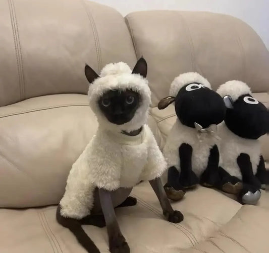 Hairless Cat Clothes Autumn and Winter Thickened polar fleece Warm Four-Legged Sphinx Devon Rex Cat lamb double-sided fleece cotton